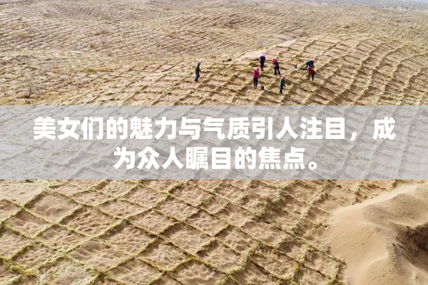 美女们的魅力与气质引人注目，成为众人瞩目的焦点。