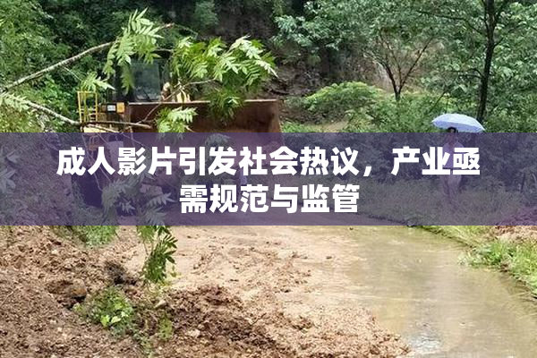 成人影片引发社会热议，产业亟需规范与监管