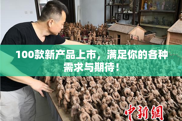 100款新产品上市，满足你的各种需求与期待！