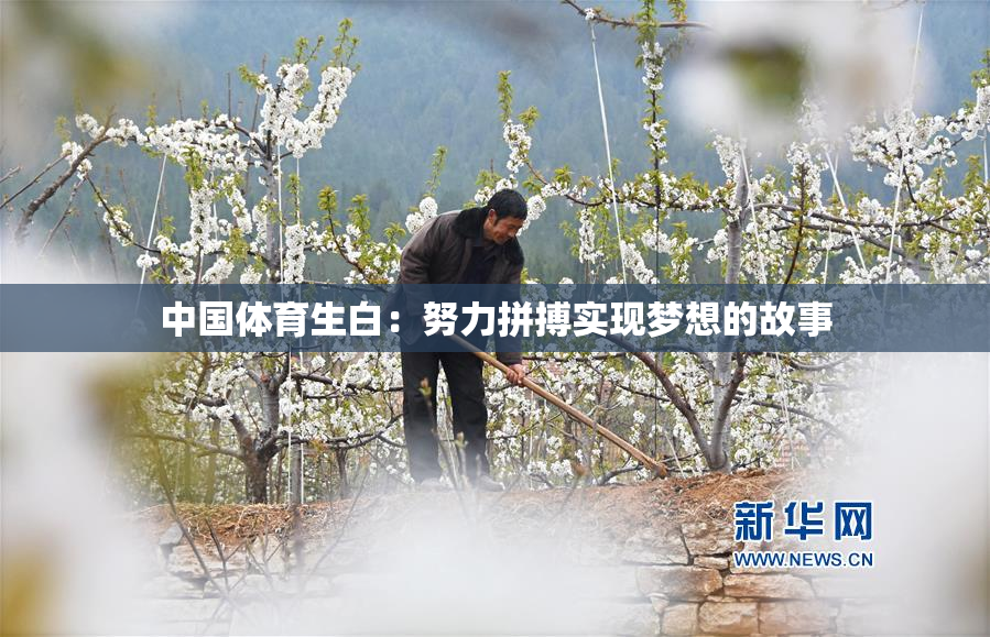 中国体育生白：努力拼搏实现梦想的故事