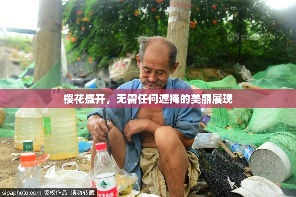 樱花盛开，无需任何遮掩的美丽展现