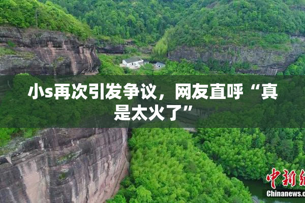 小s再次引发争议，网友直呼“真是太火了”