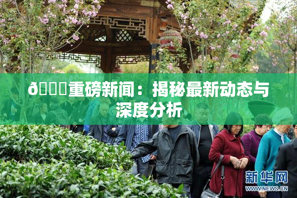 🈚重磅新闻：揭秘最新动态与深度分析