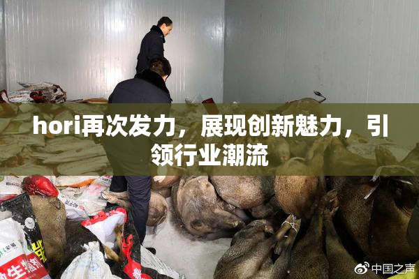 hori再次发力，展现创新魅力，引领行业潮流