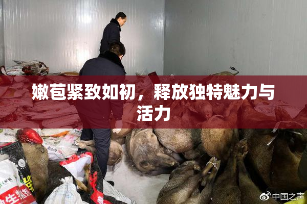 嫩苞紧致如初，释放独特魅力与活力