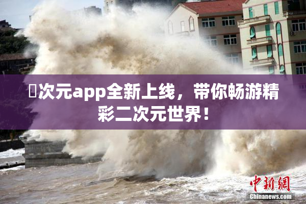 囧次元app全新上线，带你畅游精彩二次元世界！