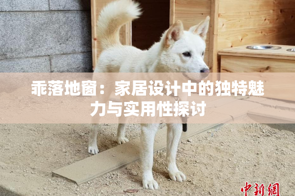 乖落地窗：家居设计中的独特魅力与实用性探讨