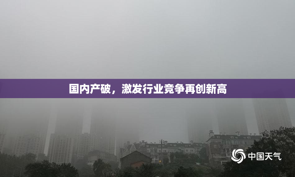 国内产破，激发行业竞争再创新高