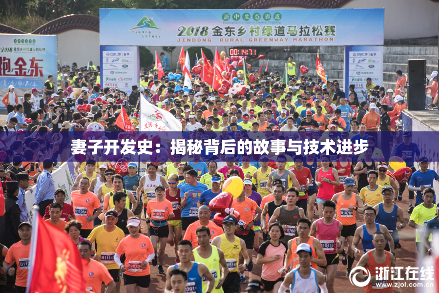 妻子开发史：揭秘背后的故事与技术进步