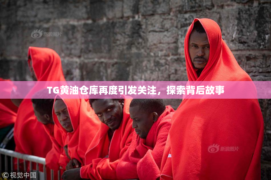 TG黄油仓库再度引发关注，探索背后故事