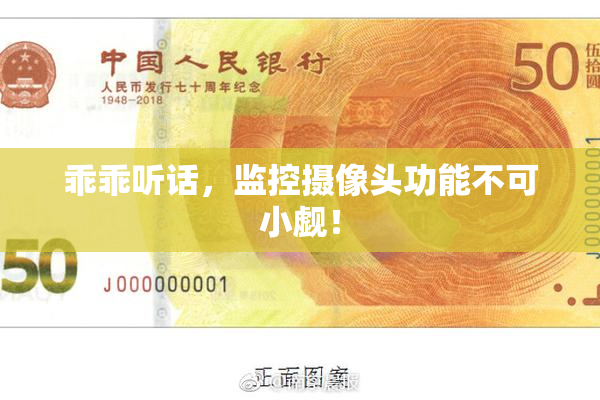 乖乖听话，监控摄像头功能不可小觑！