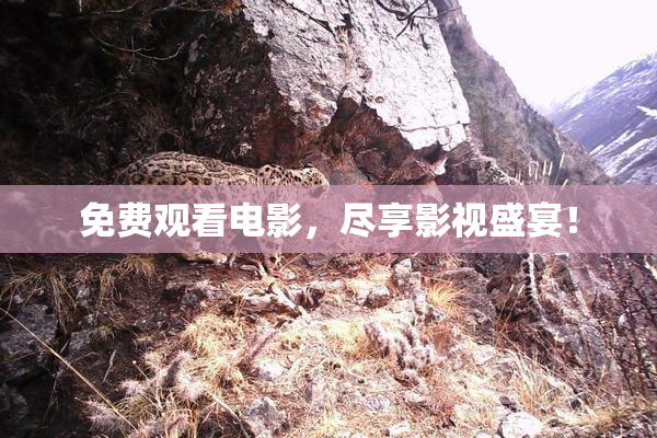 免费观看电影，尽享影视盛宴！