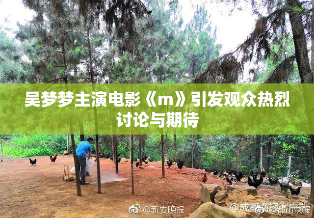 吴梦梦主演电影《m》引发观众热烈讨论与期待