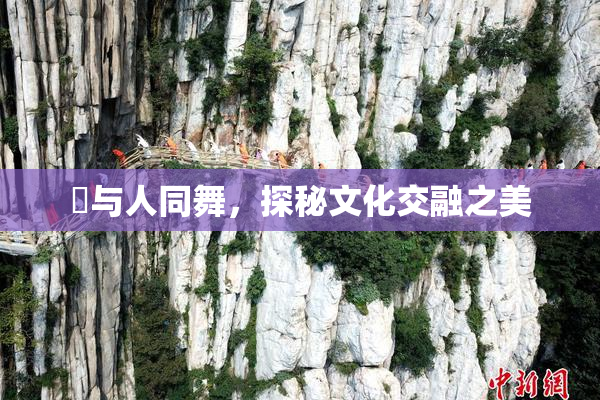 嘼与人同舞，探秘文化交融之美