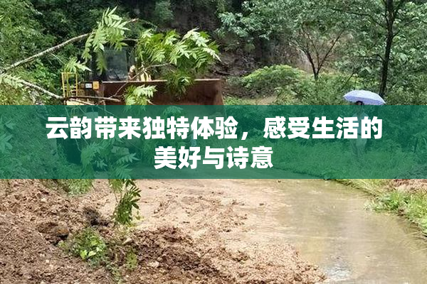 云韵带来独特体验，感受生活的美好与诗意