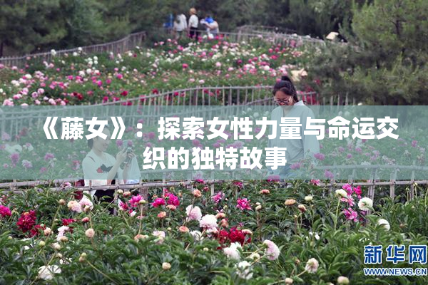 《藤女》：探索女性力量与命运交织的独特故事