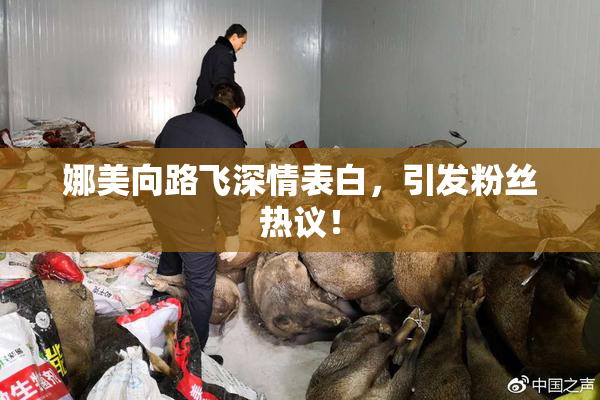 娜美向路飞深情表白，引发粉丝热议！