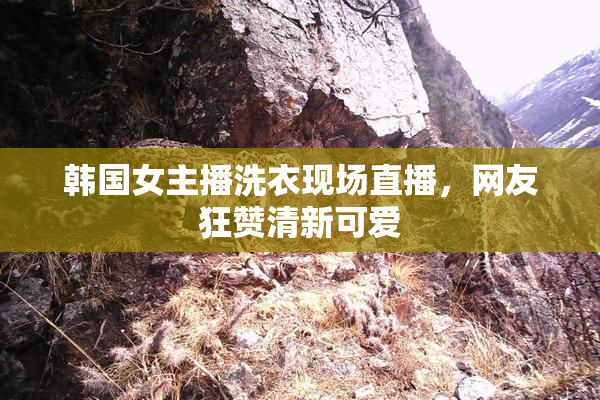 韩国女主播洗衣现场直播，网友狂赞清新可爱