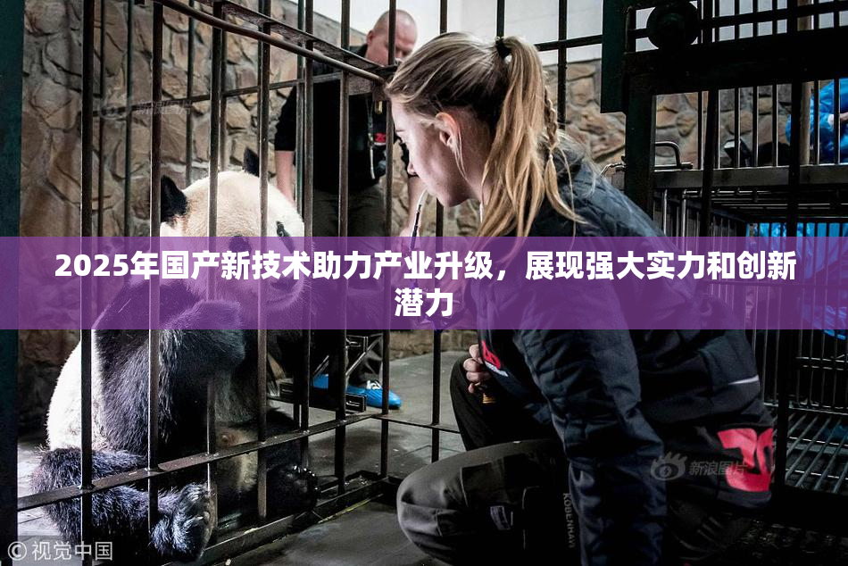 2025年国产新技术助力产业升级，展现强大实力和创新潜力