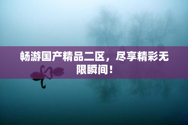 畅游国产精品二区，尽享精彩无限瞬间！