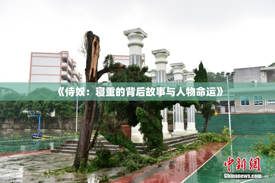 《侍奴：寝重的背后故事与人物命运》