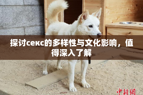探讨секс的多样性与文化影响，值得深入了解