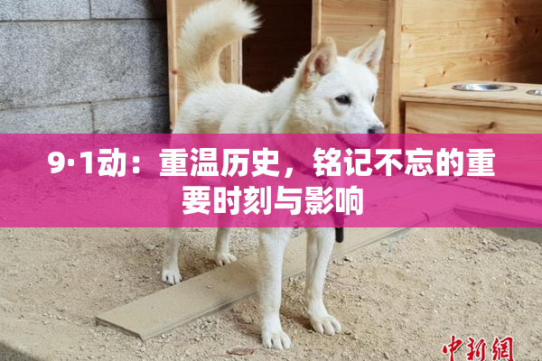9·1动：重温历史，铭记不忘的重要时刻与影响