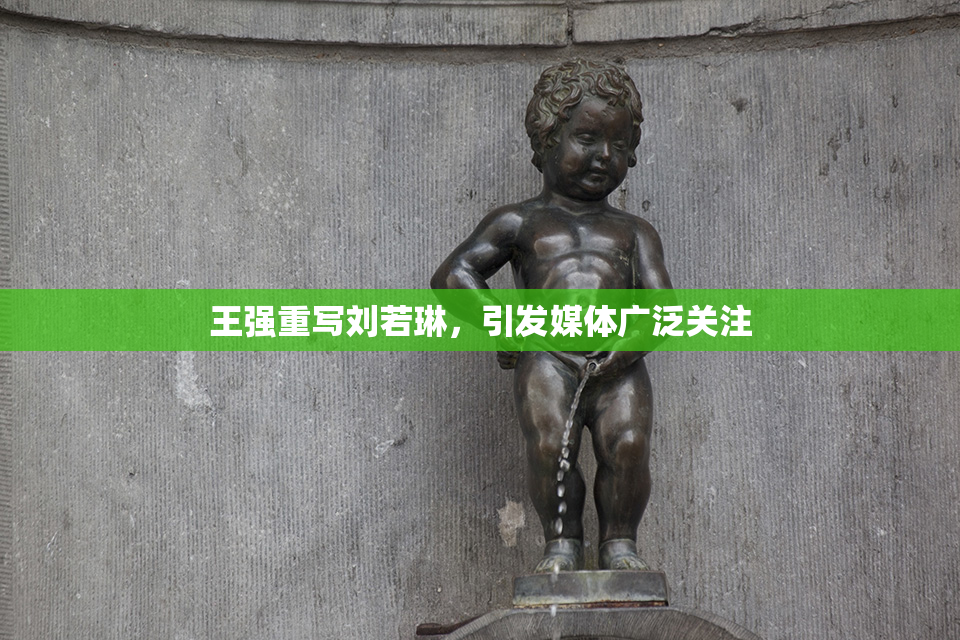 王强重写刘若琳，引发媒体广泛关注