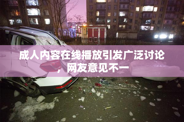 成人内容在线播放引发广泛讨论，网友意见不一