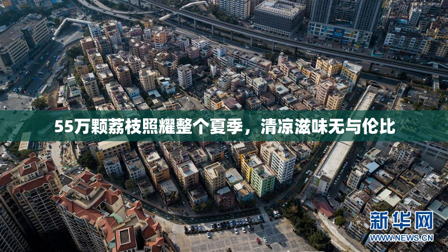 55万颗荔枝照耀整个夏季，清凉滋味无与伦比