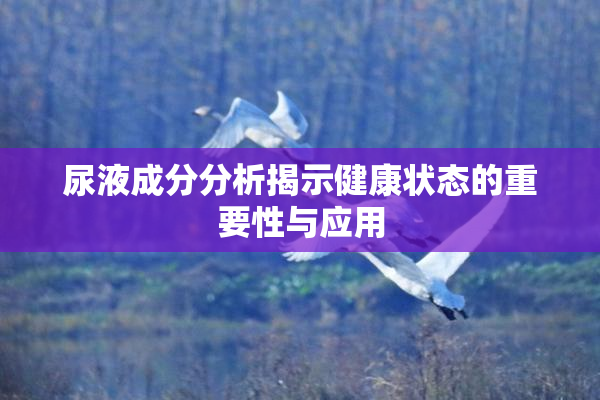 尿液成分分析揭示健康状态的重要性与应用