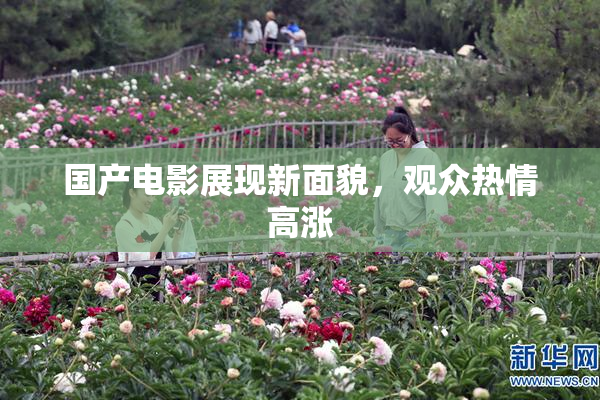 国产电影展现新面貌，观众热情高涨