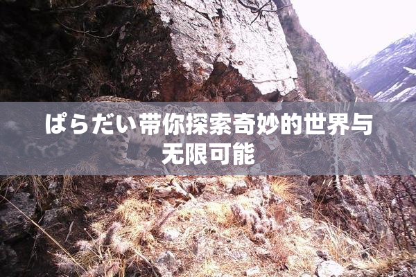 ぱらだい带你探索奇妙的世界与无限可能