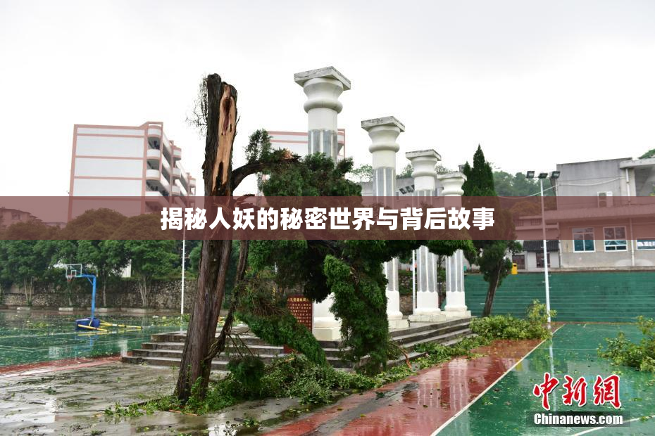 揭秘人妖的秘密世界与背后故事