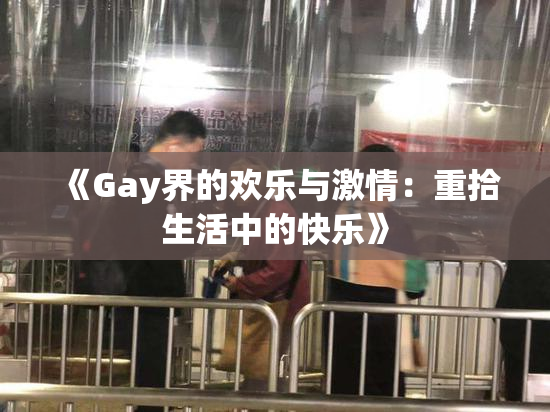 《Gay界的欢乐与激情：重拾生活中的快乐》