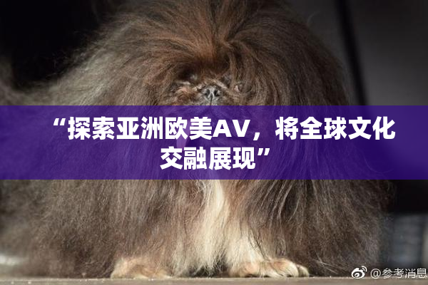 “探索亚洲欧美AV，将全球文化交融展现”