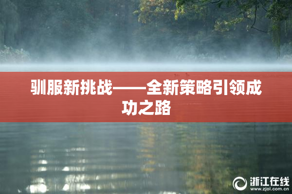 驯服新挑战——全新策略引领成功之路