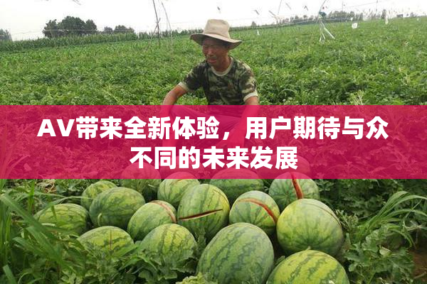 AV带来全新体验，用户期待与众不同的未来发展