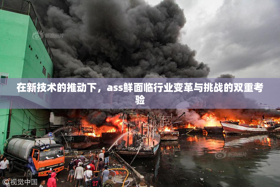 在新技术的推动下，ass鲜面临行业变革与挑战的双重考验