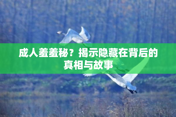 成人羞羞秘？揭示隐藏在背后的真相与故事