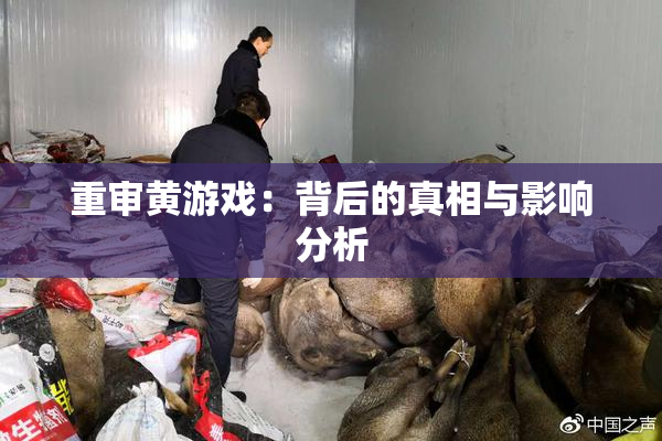 重审黄游戏：背后的真相与影响分析