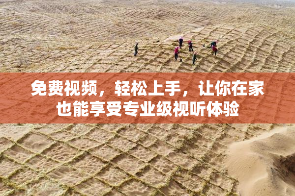 免费视频，轻松上手，让你在家也能享受专业级视听体验