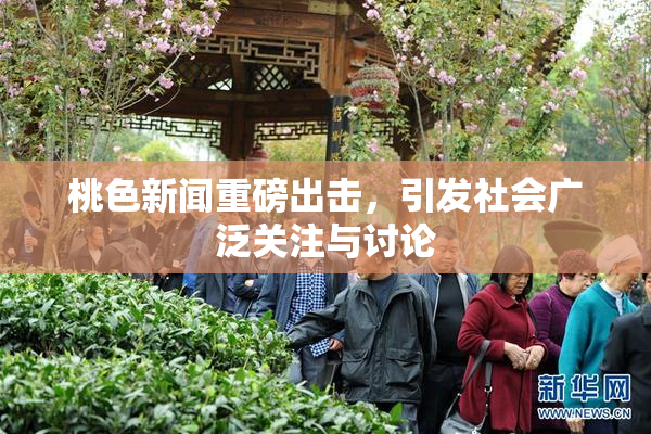 桃色新闻重磅出击，引发社会广泛关注与讨论