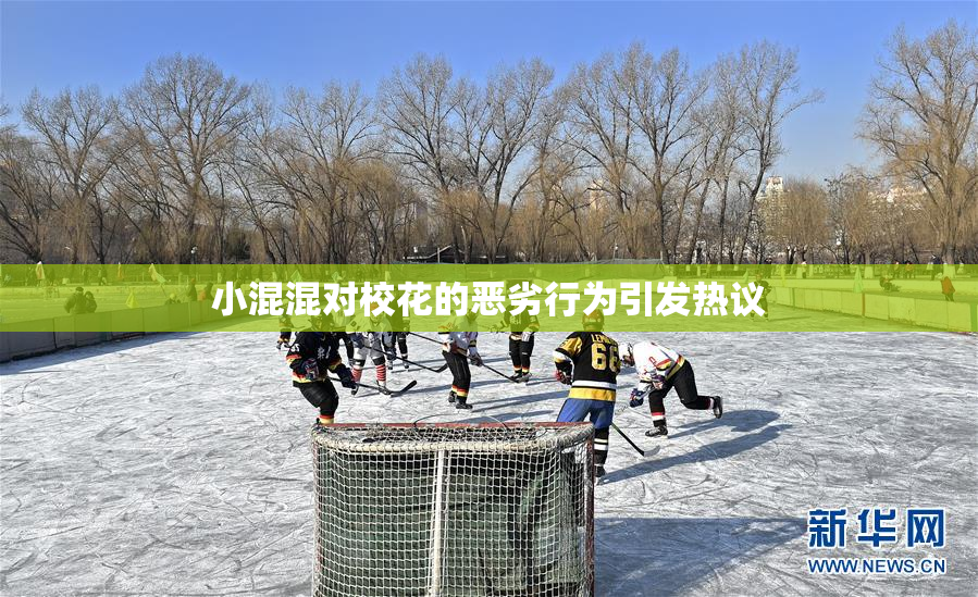 小混混对校花的恶劣行为引发热议