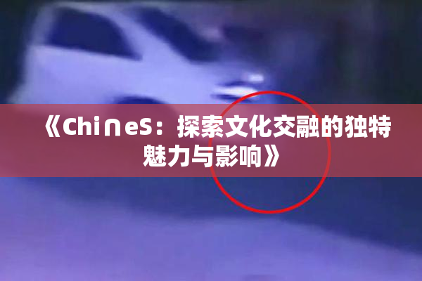 《Chi∩eS：探索文化交融的独特魅力与影响》