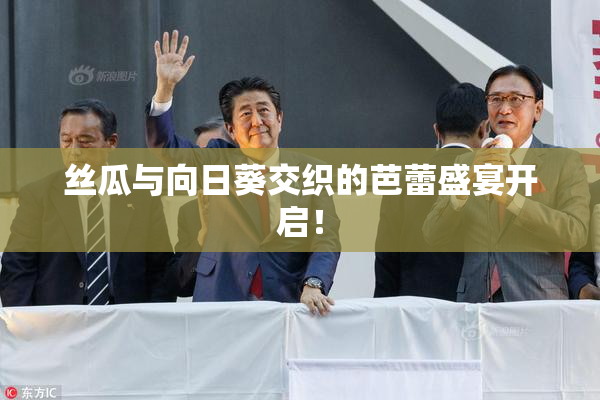 丝瓜与向日葵交织的芭蕾盛宴开启！