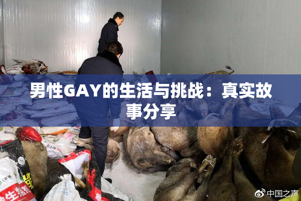 男性GAY的生活与挑战：真实故事分享