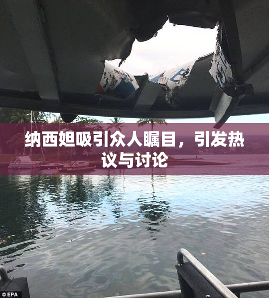 纳西妲吸引众人瞩目，引发热议与讨论