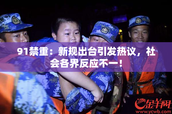 91禁重：新规出台引发热议，社会各界反应不一！