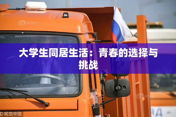 大学生同居生活：青春的选择与挑战